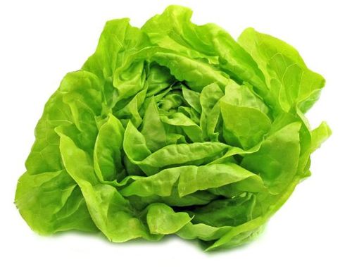 Lechuga Un. 2379.