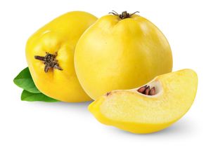 Membrillo Kg 2817