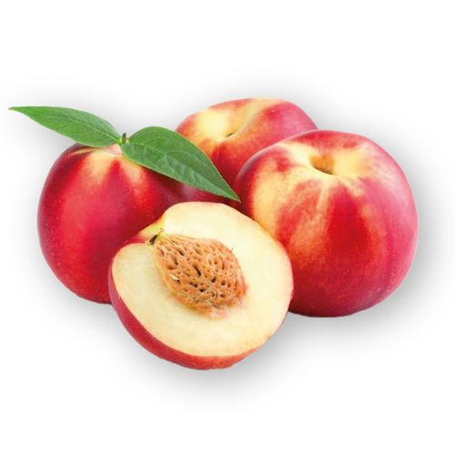 Pelon Blanco Kg 1573