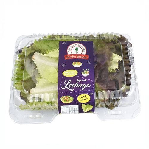Hojas Mallorca Pronta De Lechuga Fresca Petaca