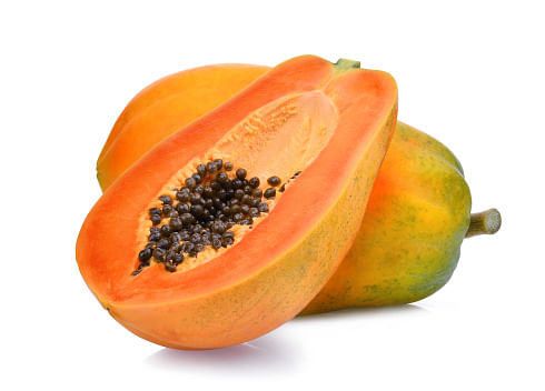 Papaya Kg 2464 Importado