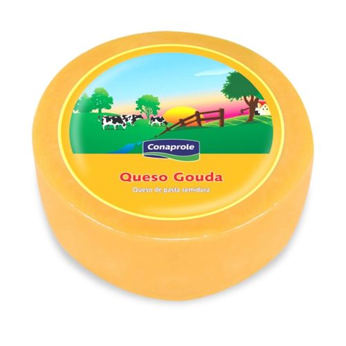 Queso Conaprole Gouda Colonial Kg .