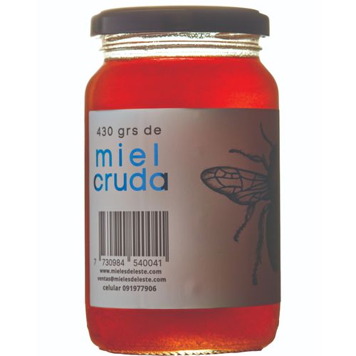 MIEL MIELES DEL ESTE 430GR