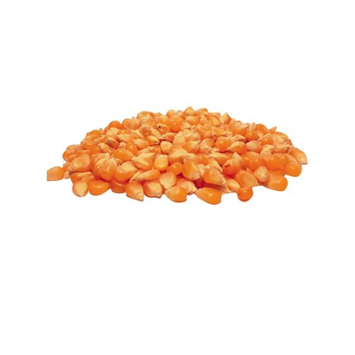MAZAMORRA MADRE TIERRA COLORADA 250GR