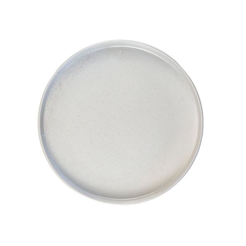 PLATO CELESTE 24MA001-1 BLANCO LLANO CERAMICA 26CM