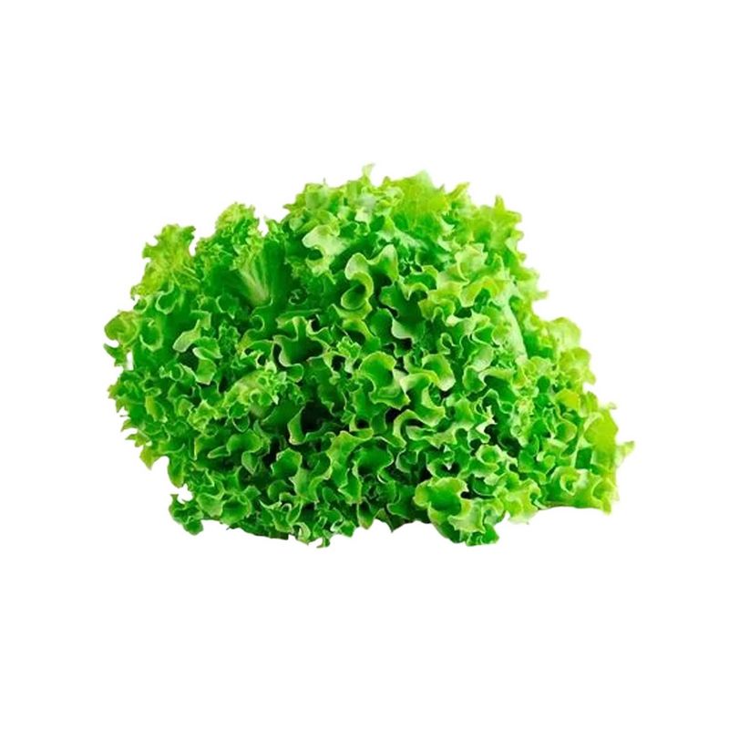 125053