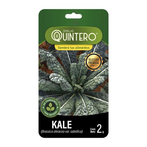 Semilla Quintero Kale 2Gr