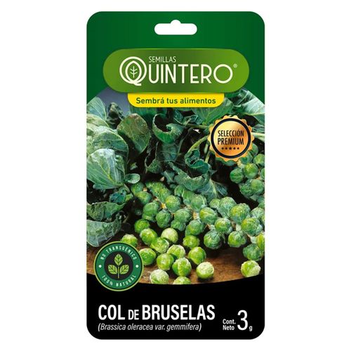 Semilla Quintero Col De Bruselas 3Gr