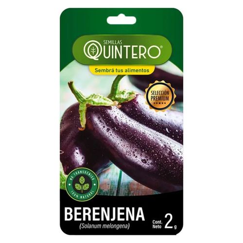 Semilla Quintero Berenjena 2Gr