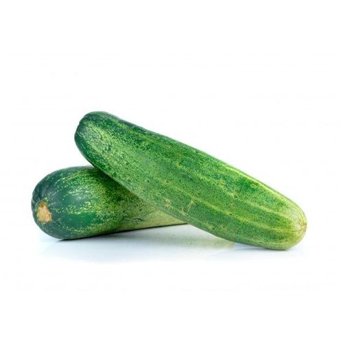 Pepino Kg 2833