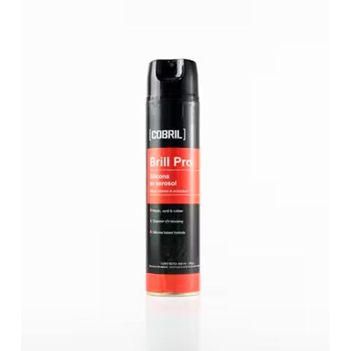 Silicona Ecobril P/Auto 400Cc