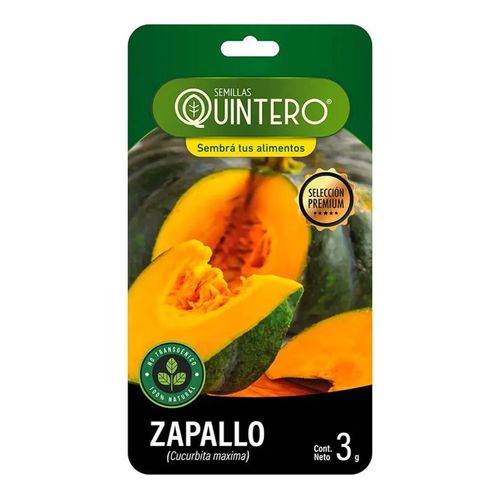 Semilla Quintero Zapallo 3Gr