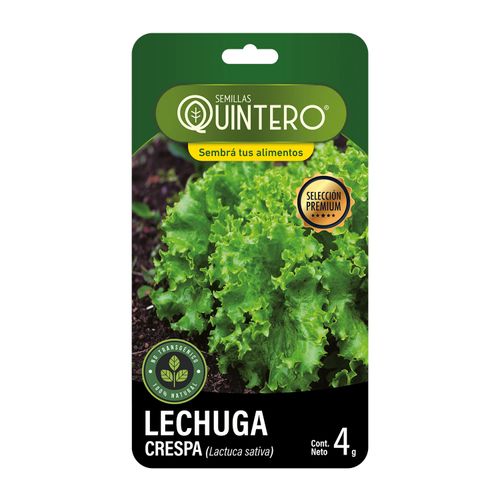 Semilla Quintero Lechuga Crespa 4Gr