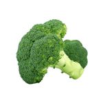 128657