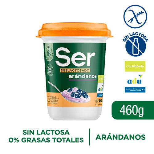 YOGUR SER DESLACTOSADO ARANDANOS 460GR