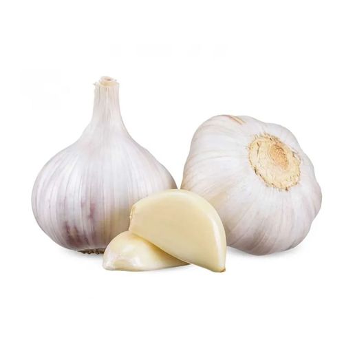 Ajo Importado Un 2490